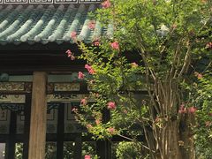 -长沙市青少年宫