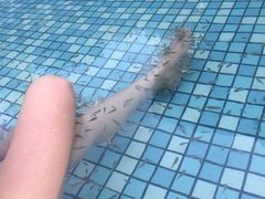 -咸宁万豪温泉谷度假区