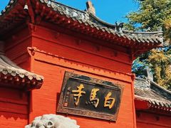 -洛阳白马寺