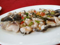 一品青椒缩骨鱼片-顺德佬(石厦店)