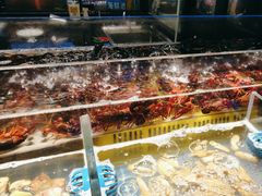 -锅儿欢海鲜火锅烤肉自助餐(东港凯虹店)