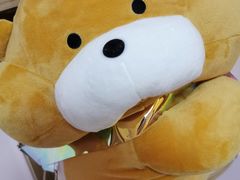 -LLJ夹机占(清河万象汇店)