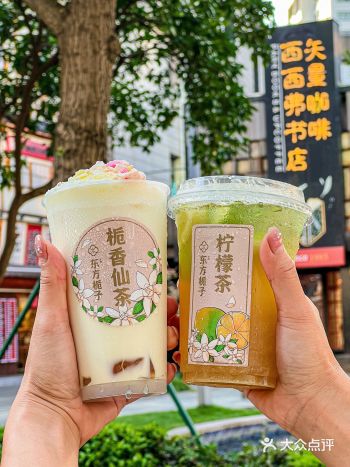 宁波｜和东方青苍一样仙气飘飘的东方栀子🪷