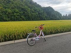 -贵阳市花溪国家城市湿地公园