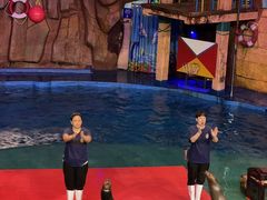 -烟台海昌鲸鲨海洋公园