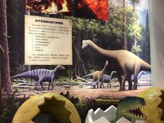 -昆明市博物馆(昆明市文物保护和考古研究中心)