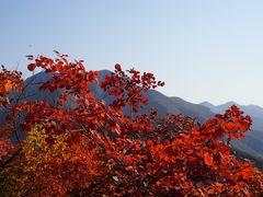 -周口店坡峰岭风景区