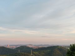-桃花岭景区