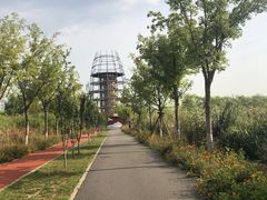 -永定河休闲森林公园