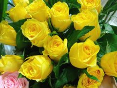 -森野花艺培训·企业团建活动沙龙