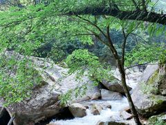 -酒仙湖景区