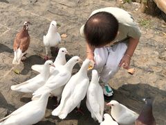 -无锡动物园·太湖欢乐园