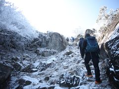 -湖州龙王山景区