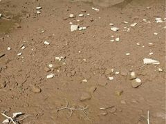 iphone_upload_pic-灵溪风景区