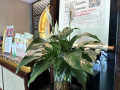 -大唐盲人按摩中心(黄山路店)