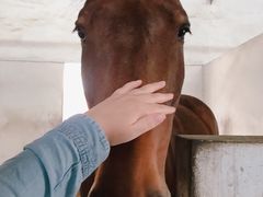 -松声马术俱乐部