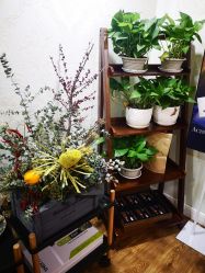 点击看大图 -AMI3·本沐皮肤管理中心