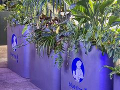 -bluefrog蓝蛙(皇庭广场店)