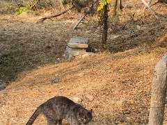 -白水寺森林公园