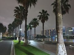 -金沙湖公园