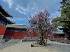 -北京国子监胡同