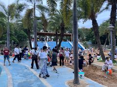 -宝安西湾红树林湿地公园