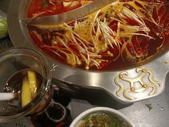 -大龙燚火锅(春熙店)