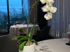 -蘇锦宴·淮扬菜烤鸭·小院(三元桥霄云路店)