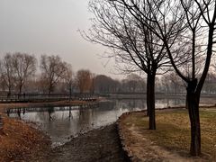 -北龙湖湿地公园