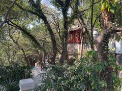 -乌山风景区
