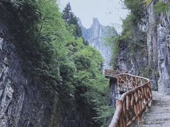 -鹿院坪生态旅游景区