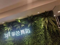 -单色舞蹈
