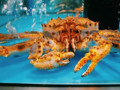 -麦德龙(郑东店)