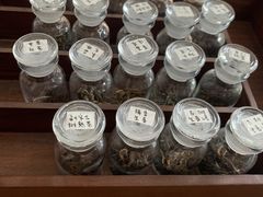 -知亘茶食