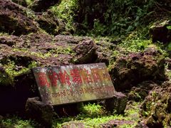 -海口火山口国家地质公园