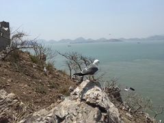 -海驴岛(荣成市)