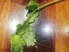-好得火锅(育才店)