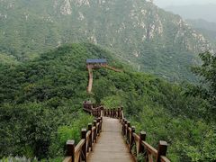 -大岭沟猕猴桃谷风景区