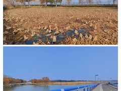 -阳澄湖半岛旅游度假区