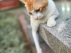 -晓港公园