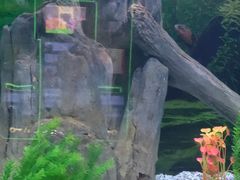 -常州海昌海洋探索馆