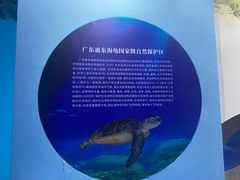 -广东惠东海龟国家级自然保护区