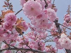 -长安大学(北校区)