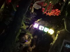 -扬州科技馆