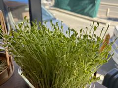 -罗勒家·养生火锅· Bistro(大望路店)