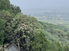 -腊山国家森林公园