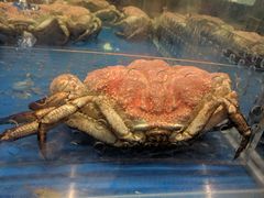 -盒马鲜生(龙德广场店)