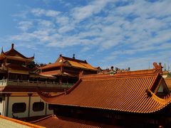 -深圳仙湖植物园-停车场