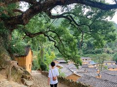 -杨家堂村