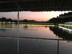 -伟记牛蹄(道滘店)